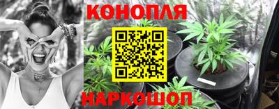 гашик Гатчина