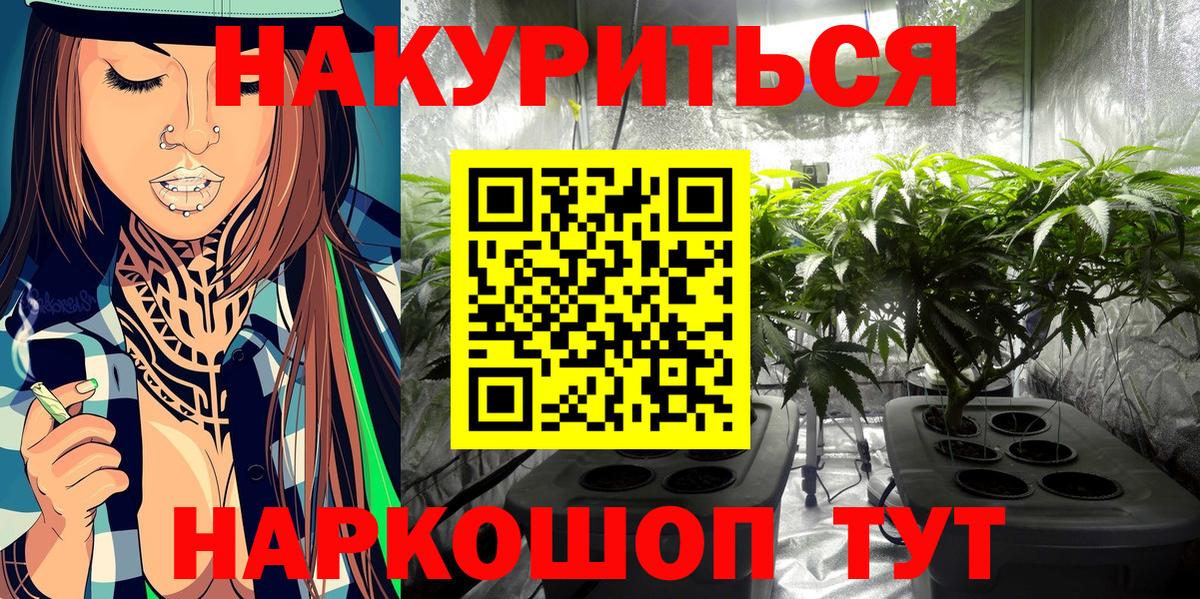 Конопля конопля  Вход с VPN  Изобильный  Бошки Шишки планчик 